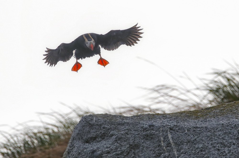 Иду на посадку