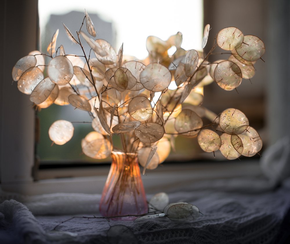 Photograph by Дарья Вуколова