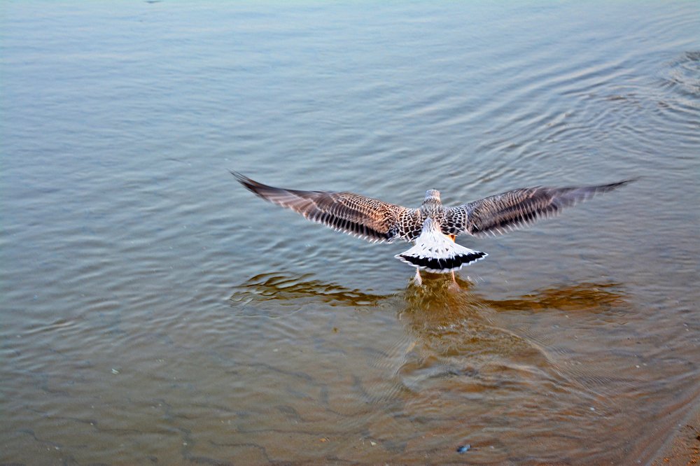 Photograph by Любомир Стойков