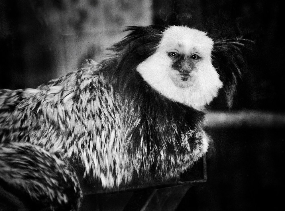 Photograph by Алиса Грюнвальд