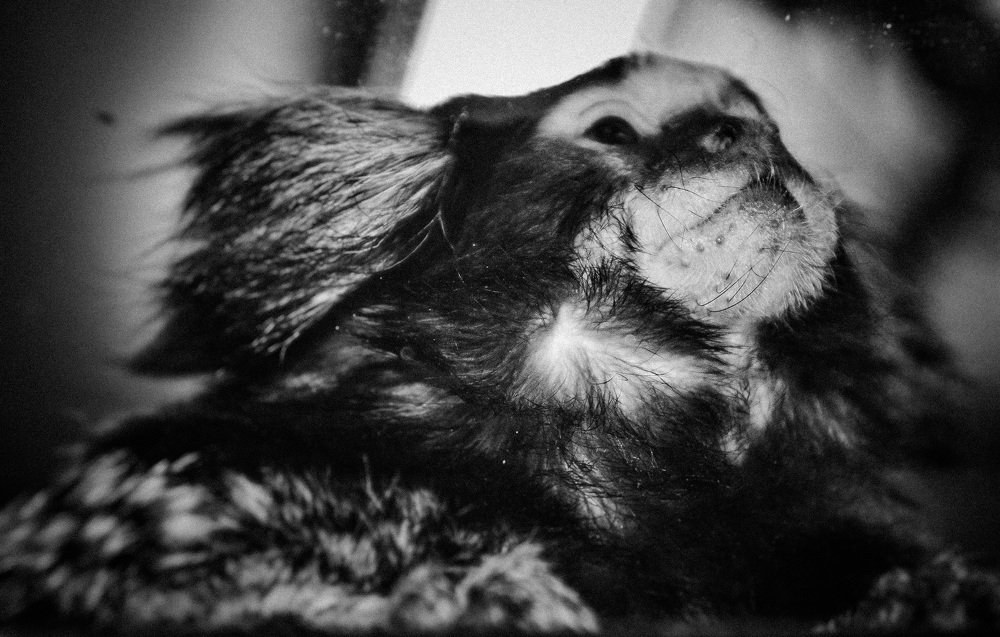 Photograph by Алиса Грюнвальд