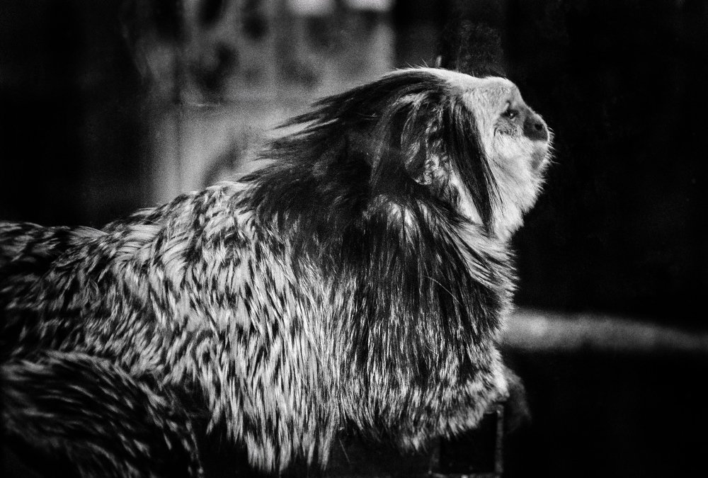 Photograph by Алиса Грюнвальд