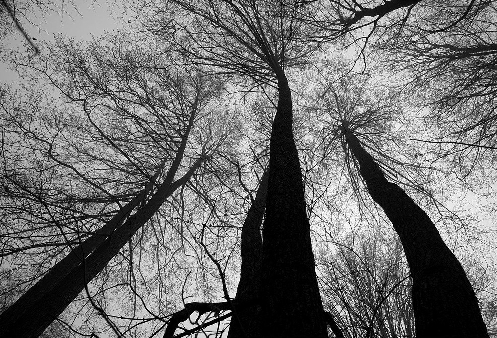 Photograph by Красимир Георгиев