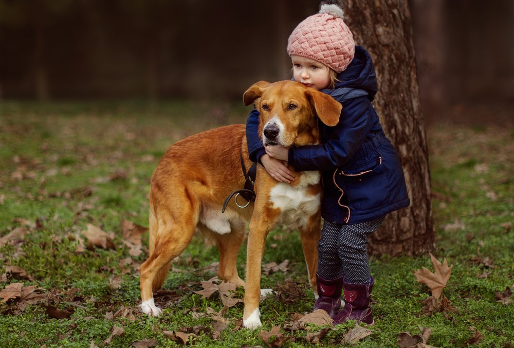 Шрек и Анфиса.