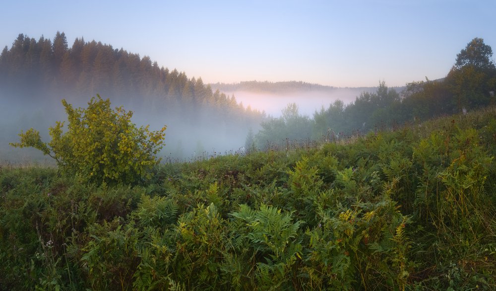 Сказочное утро