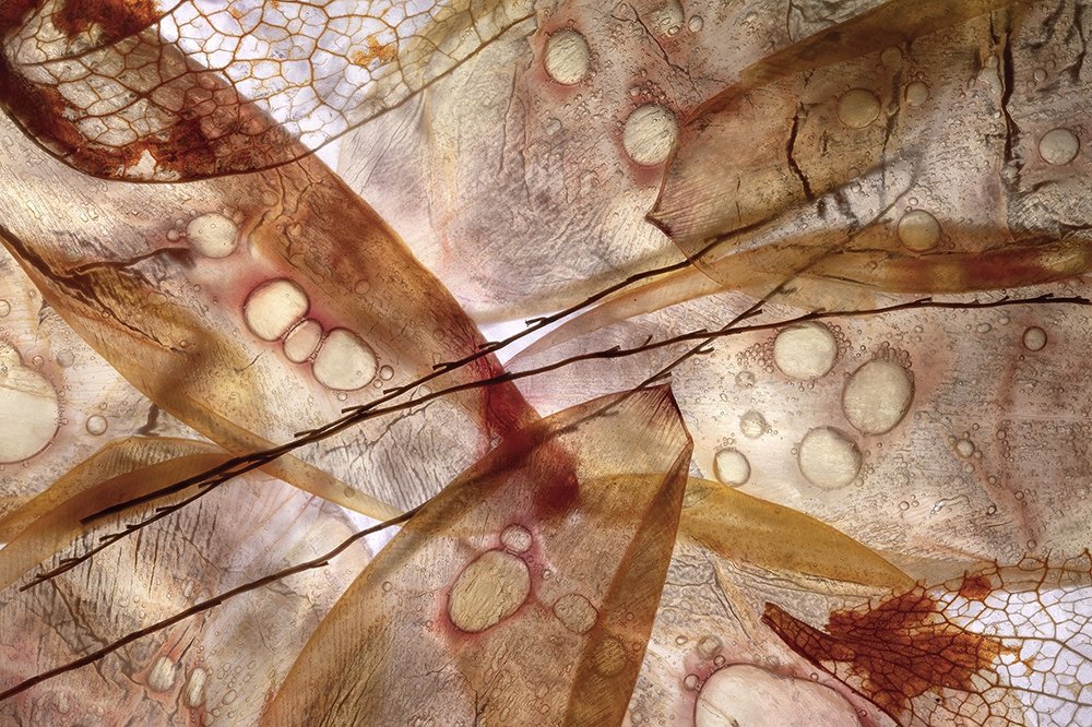 Photograph by Maja Strgar Kurecic