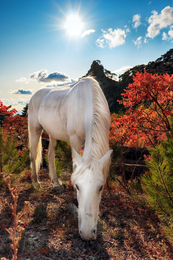 Photograph by Георгий Ладейщиков