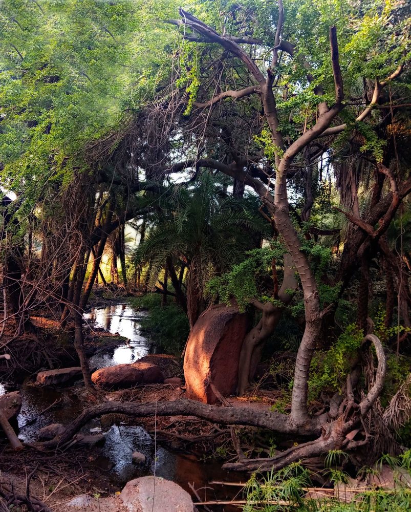 Photograph by SUJITH VARGHESE