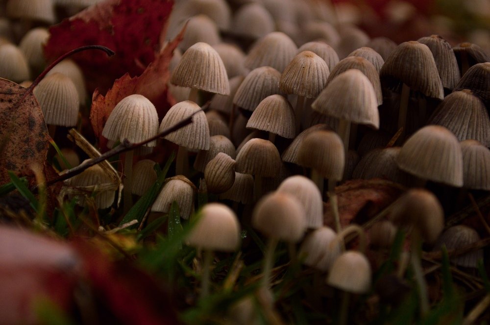 Photograph by Анна Толмачёва