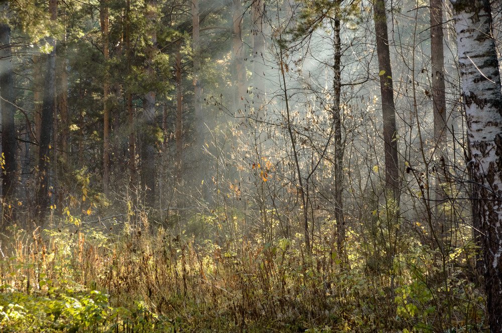 Photograph by Геннадий Покидов