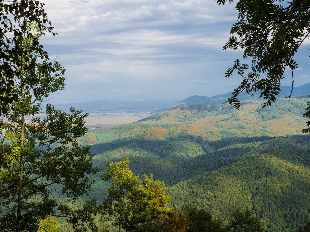 Photograph by Геннадий Покидов