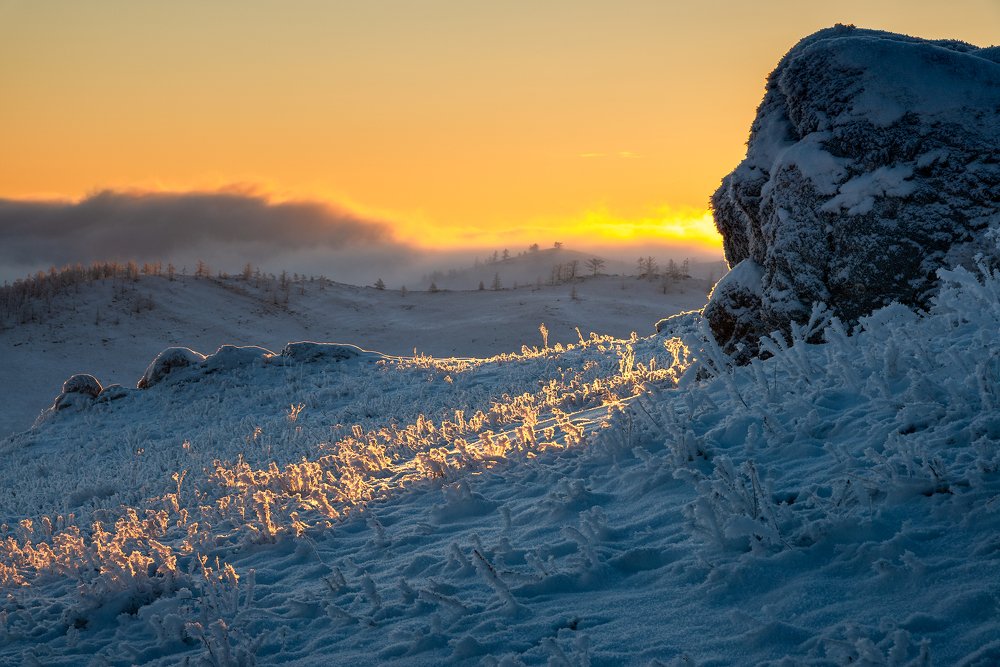Утро в Тажеранской степи