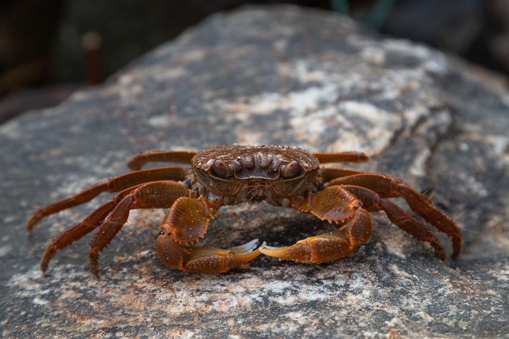 Photograph by Андрей