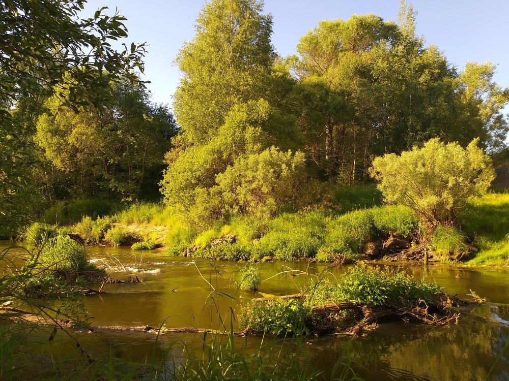 Photograph by Денис