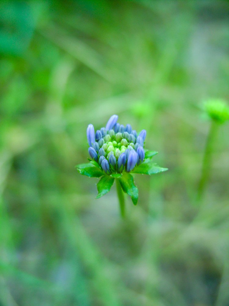 Photograph by Olexandr Kazinskiy