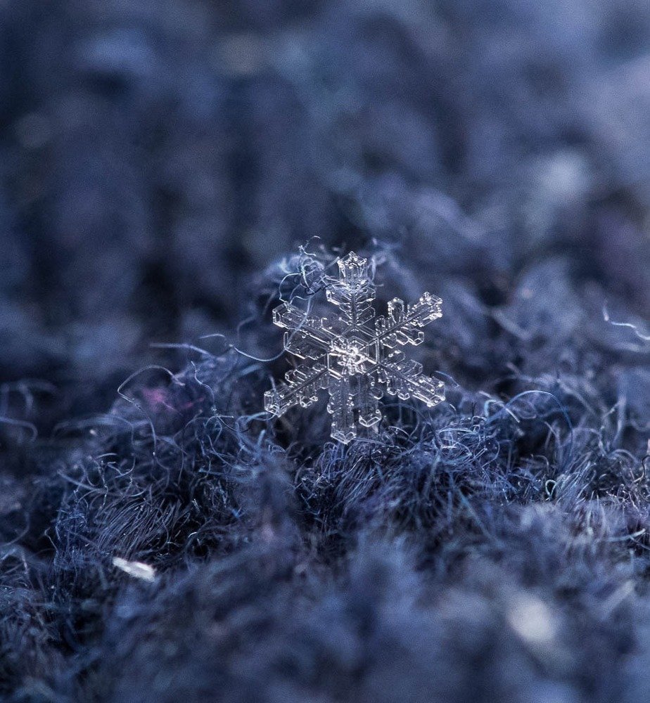 Photograph by Xeniya Kolosova