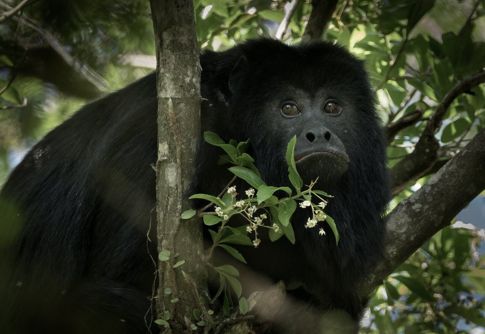 Photograph by Pablo Re