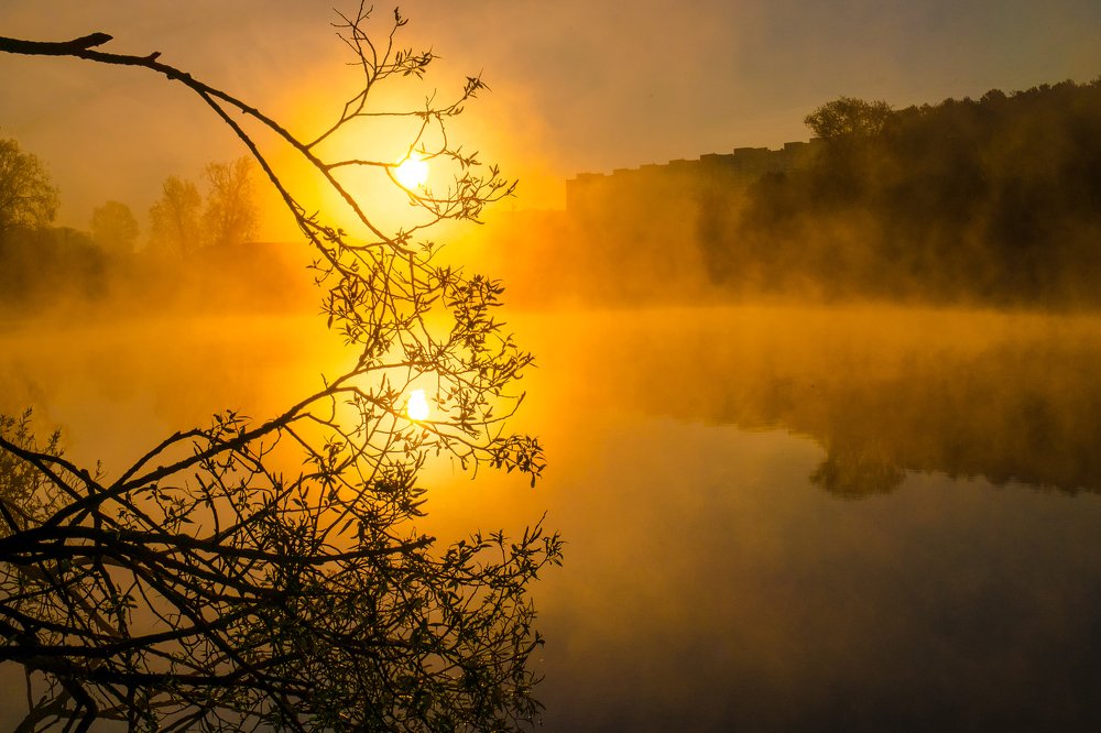 Photograph by Александр Есликов