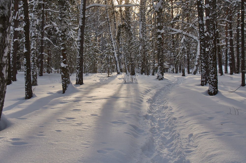 Photograph by Геннадий Покидов