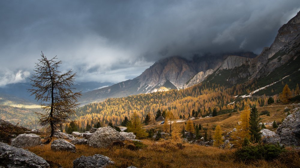 Photograph by Николай Мозгунов