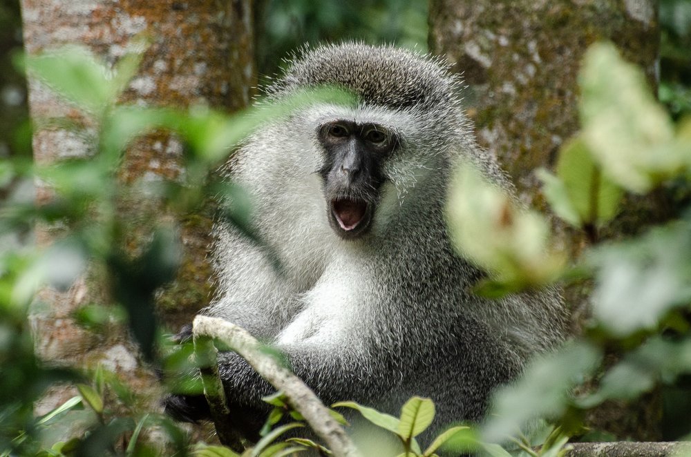 Photograph by Данил Луговой