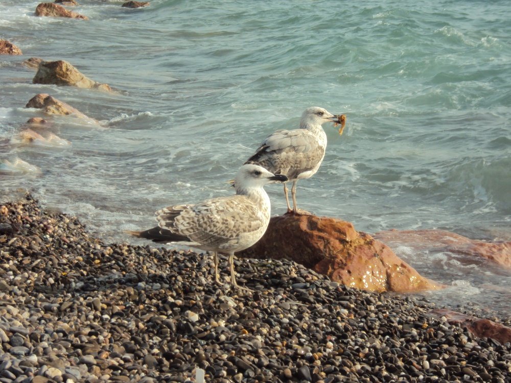 Photograph by Лариса Фатыхова