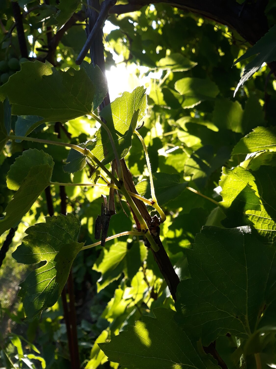 Photo #4202676