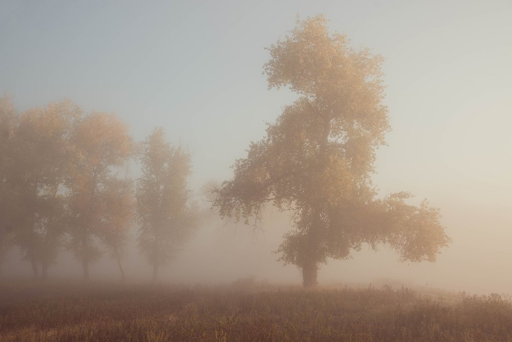 Photograph by Виктор Ястребов