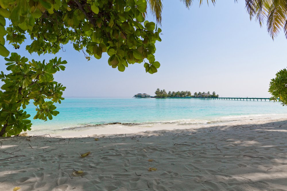 Photograph by Лизунов Роман