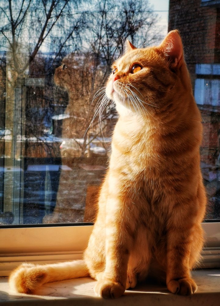 Photograph by Овчаров Александр