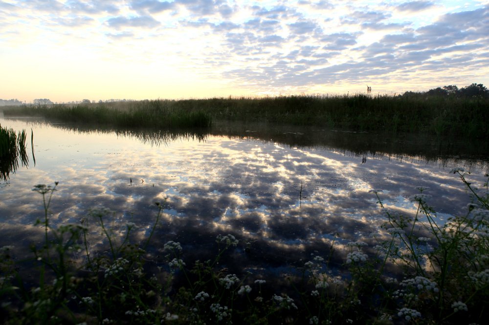 Photograph by Цыганок Катя и Олег