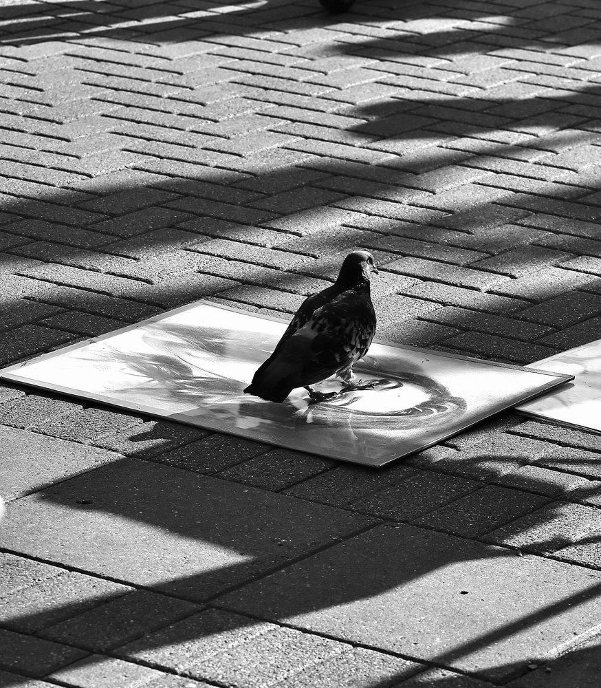 Photograph by  Михаил