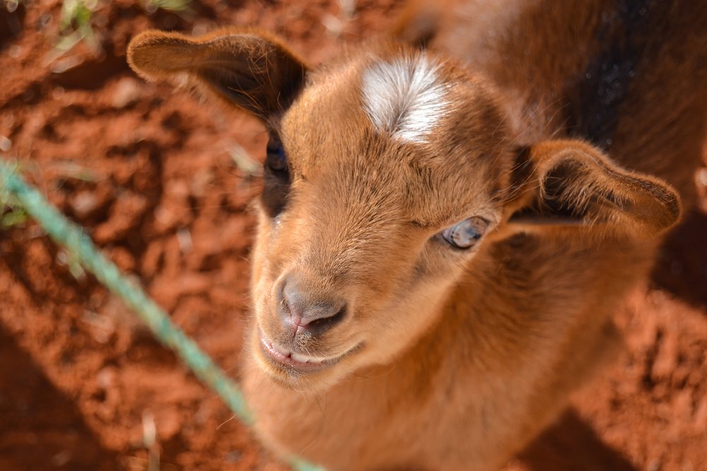 Photograph by Kacem Daddi Bouhoun