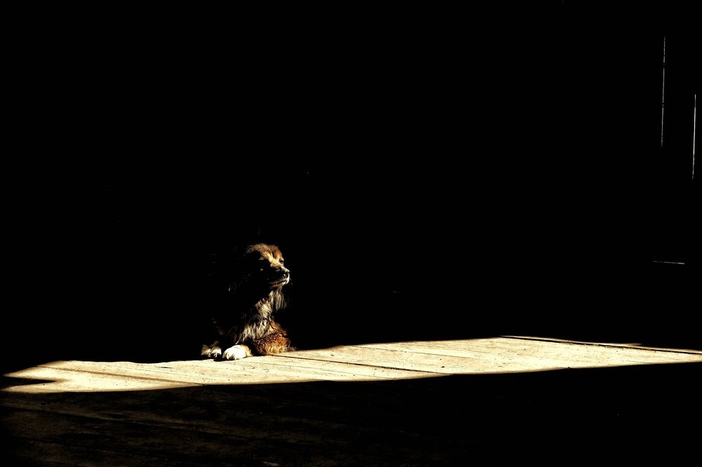 Photograph by Эдуард Саитгалеев