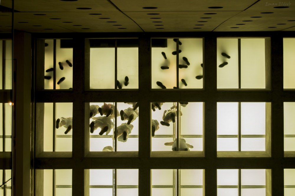 Photograph by Eimy Eldeeb