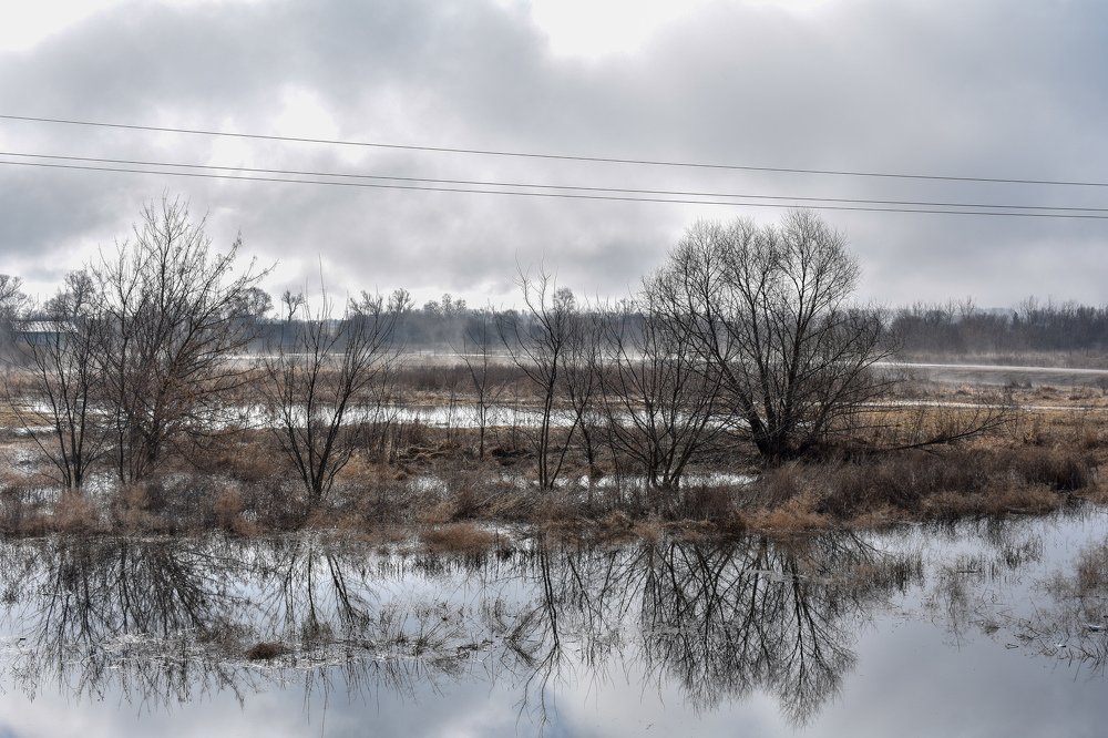 Photograph by Алёна Попова