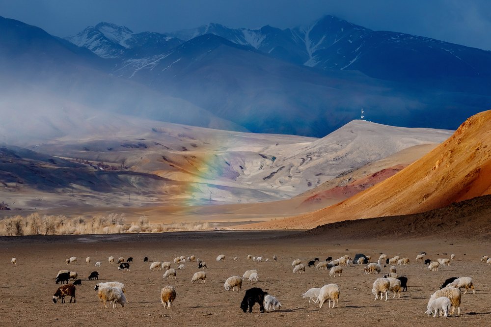 Photograph by Владимир Латынников