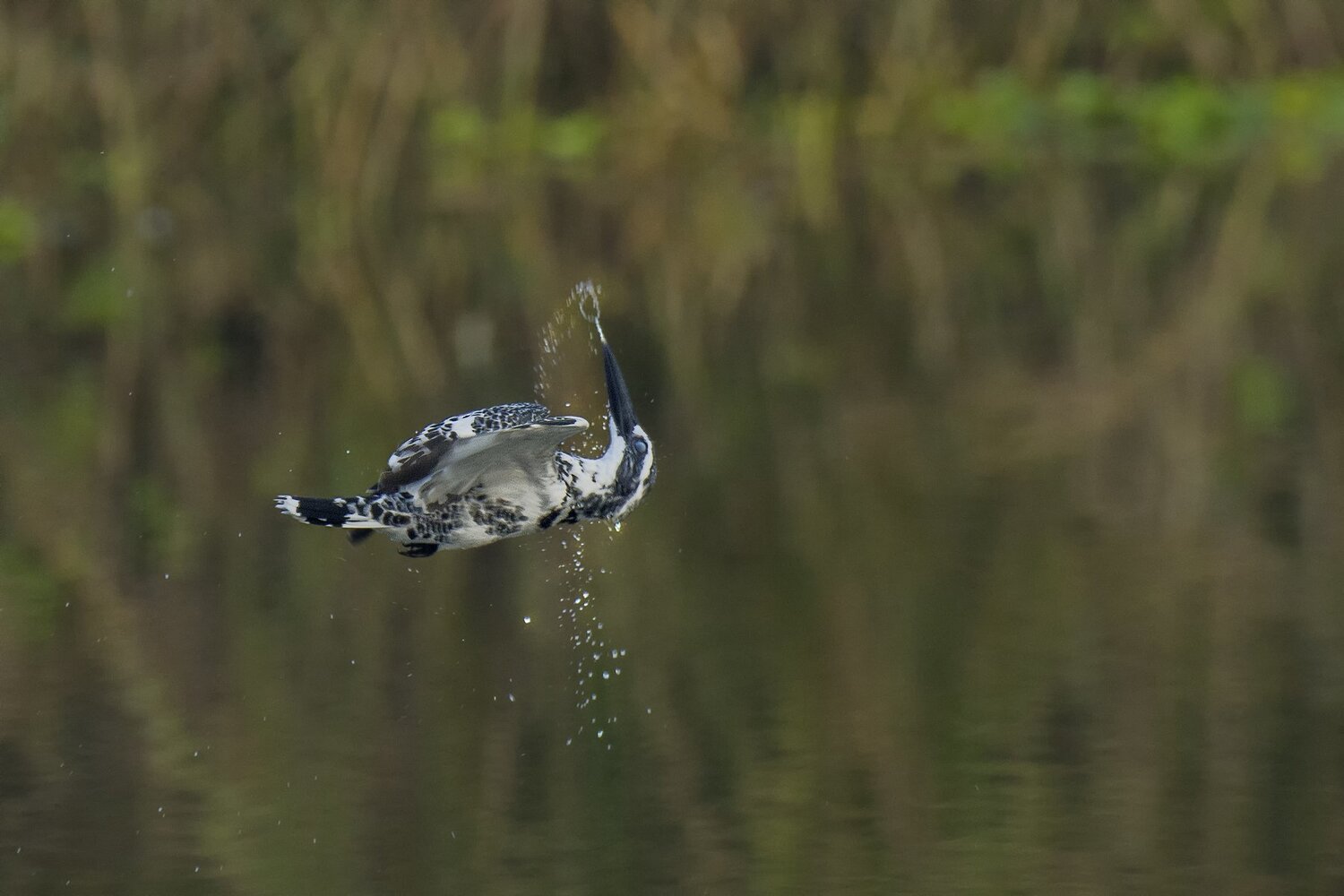 The missed catch