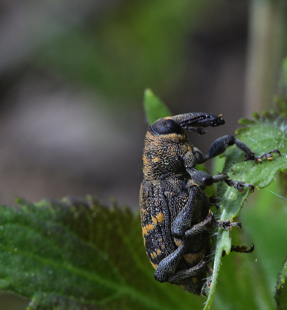 Фотография автора Сергей Суворов