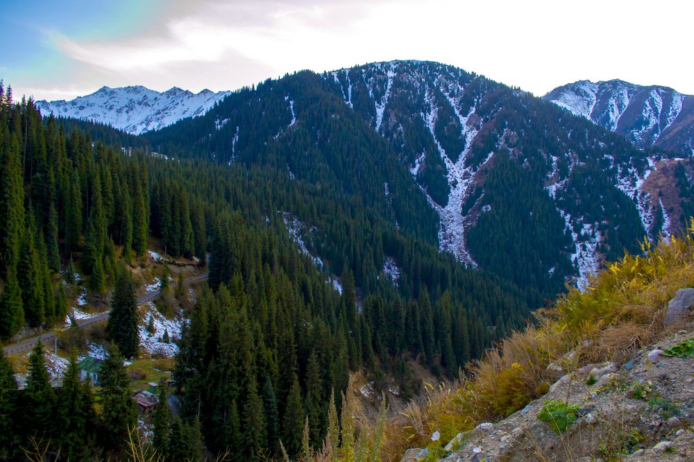 Photograph by Алёна Фефелова