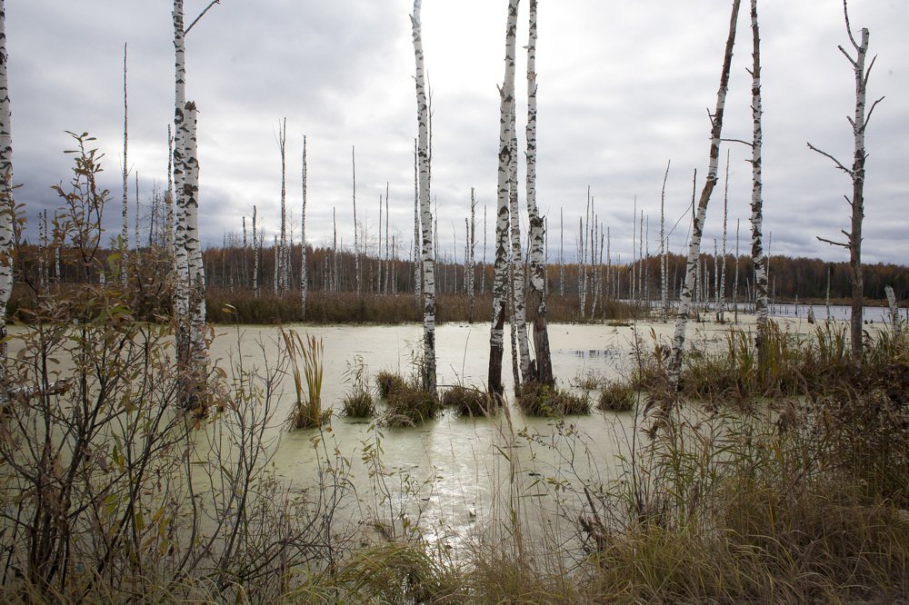 Саньковский заповедник