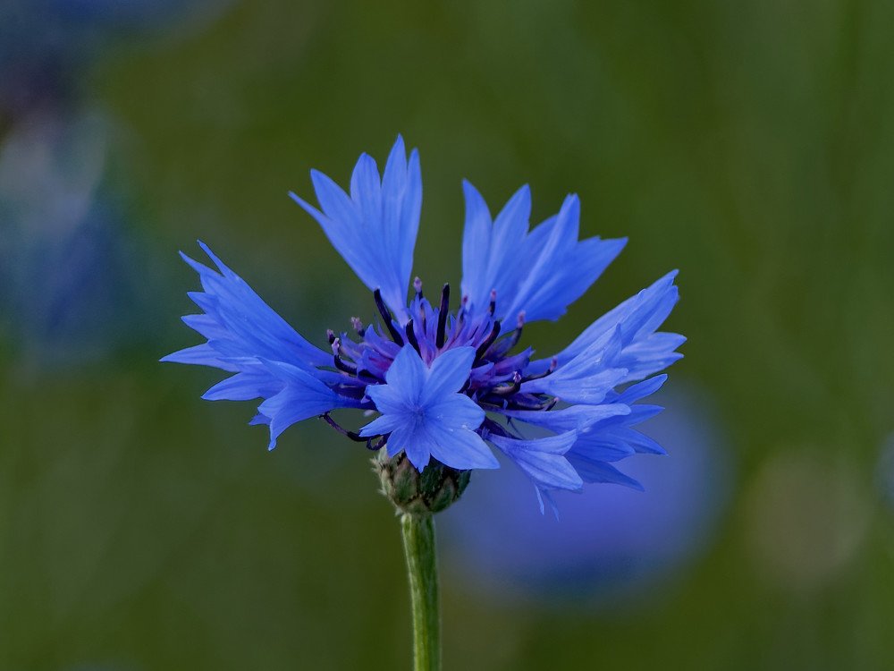 Photograph by Андрей Панин