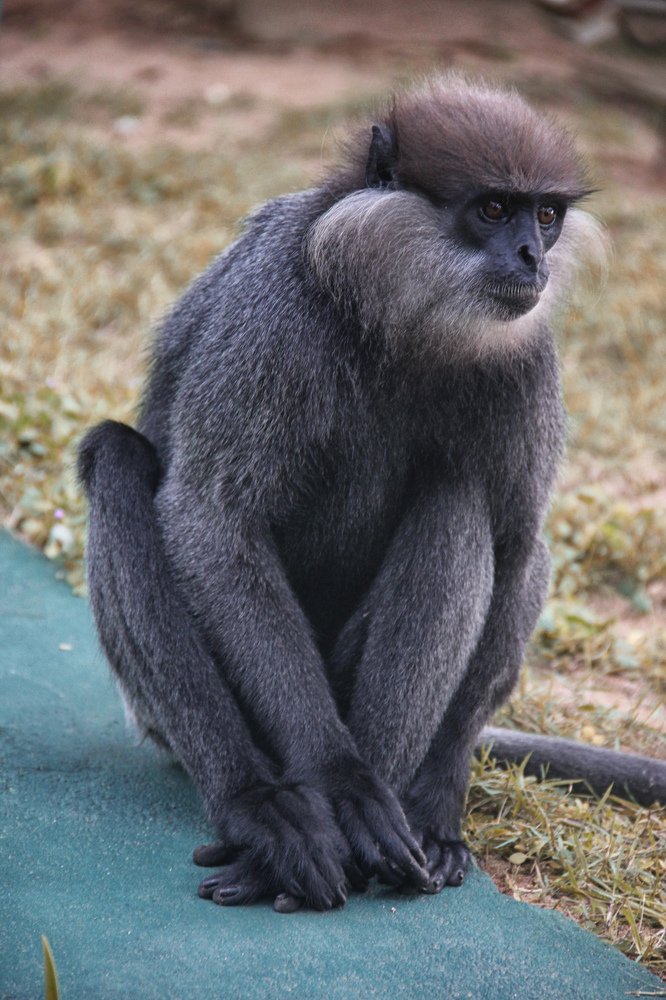 Фотография автора Надежда Саблина