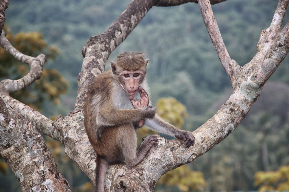 Фотография автора Надежда Саблина