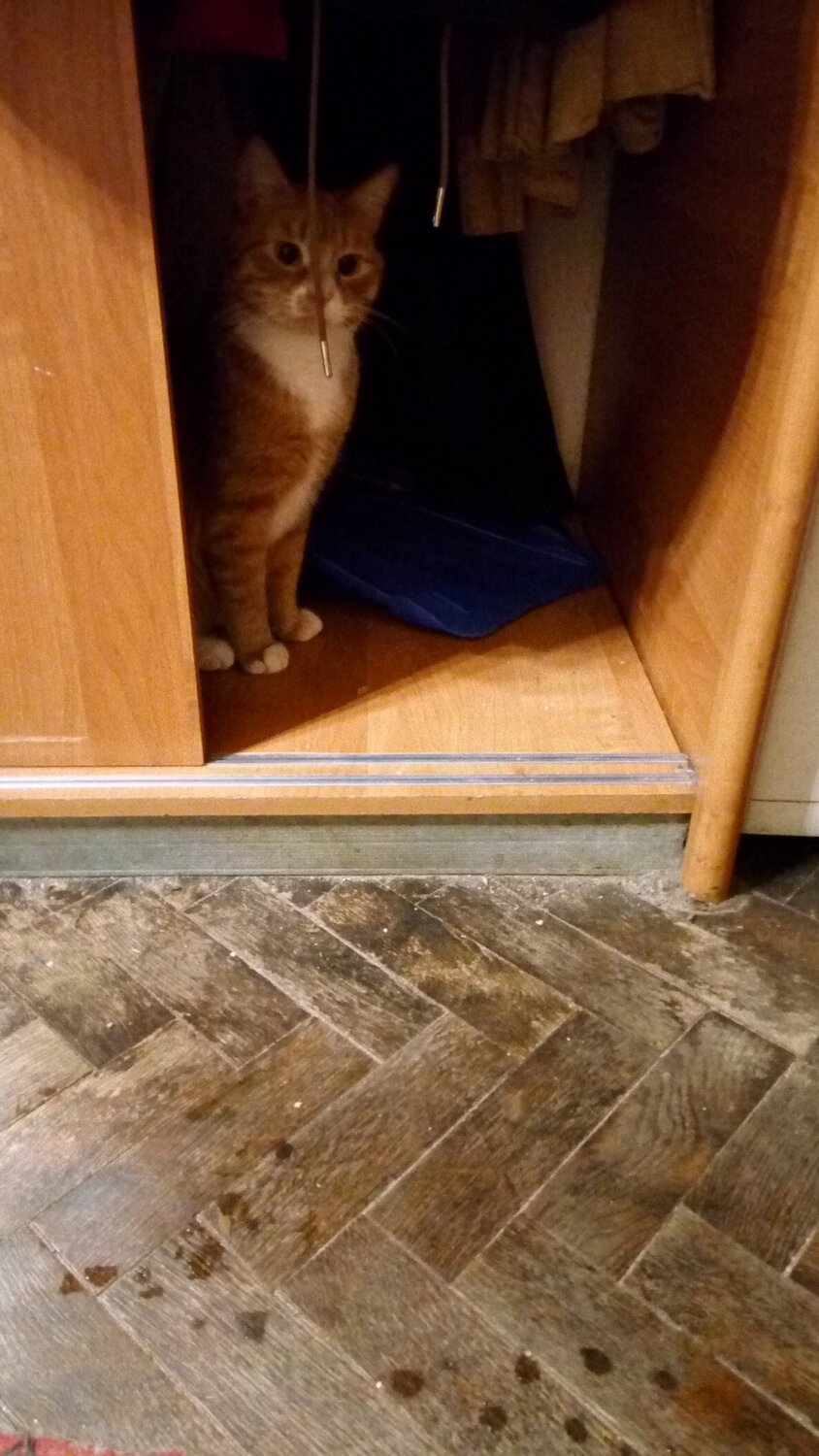 Photo #4203853