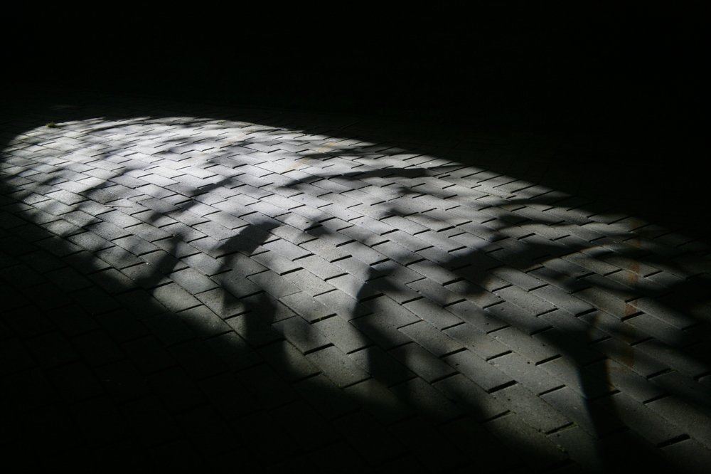 Тени на брусчатке.