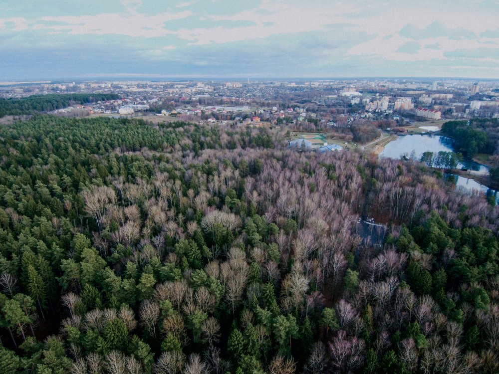 Photograph by Vasya Prudnikov