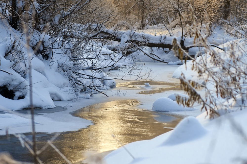 Photograph by Макс Карпович