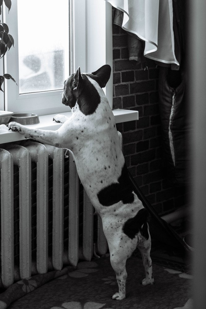 Фотография автора Элеонора Григорьева