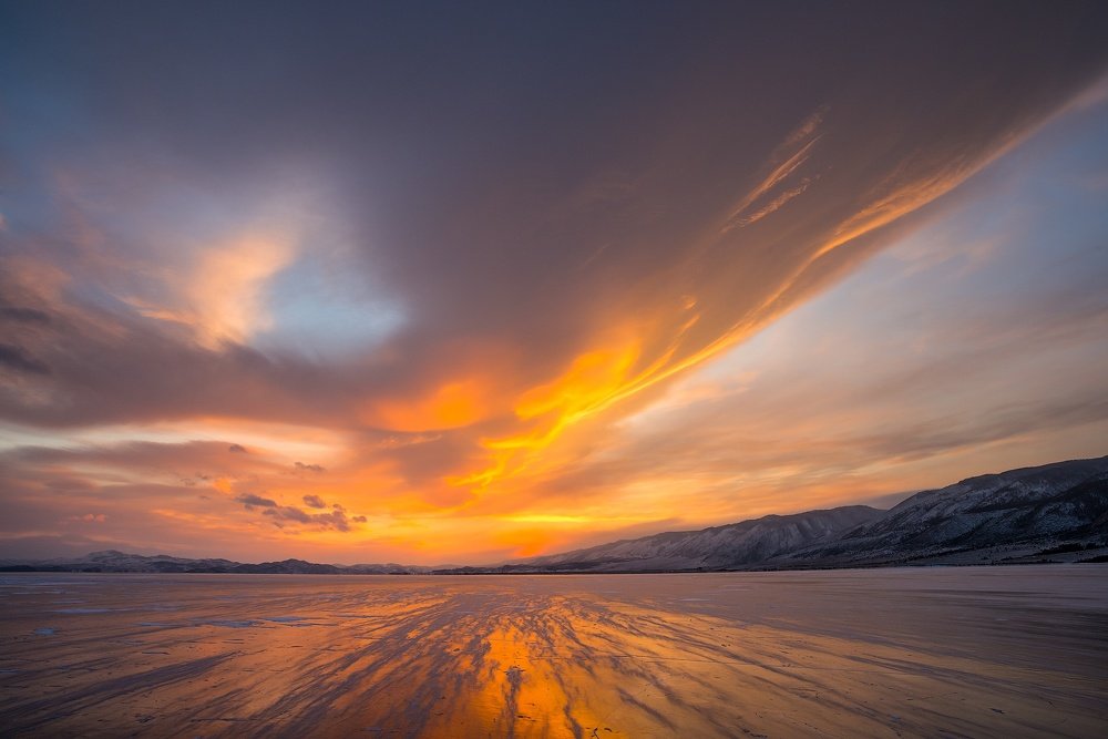 Унесённые ветром